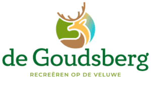 Ontwerp zonder titel 42