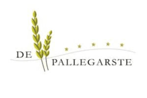 Ontwerp zonder titel 45